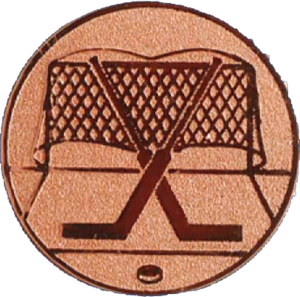 afslag Ijshockeydoel