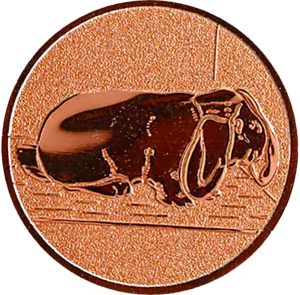 afslag Konijn (lange oren)