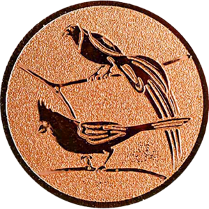 afslag Tropische vogels