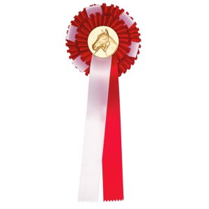 R35 Rozet 2-rings met lus