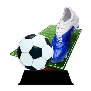 Wood trophy voetbal