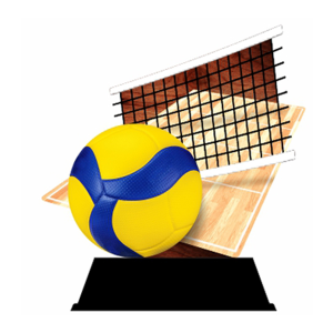 Wood trophy Volleybal