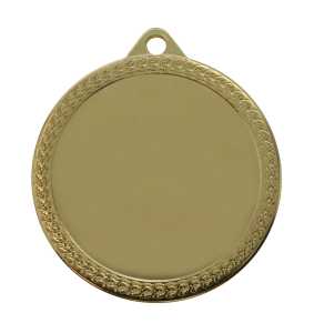 Médaille 741 fer 60mm