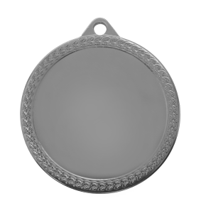 Médaille 741 fer 60mm
