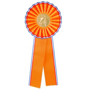 R6 Kampioens rozet middel paardenhoofd