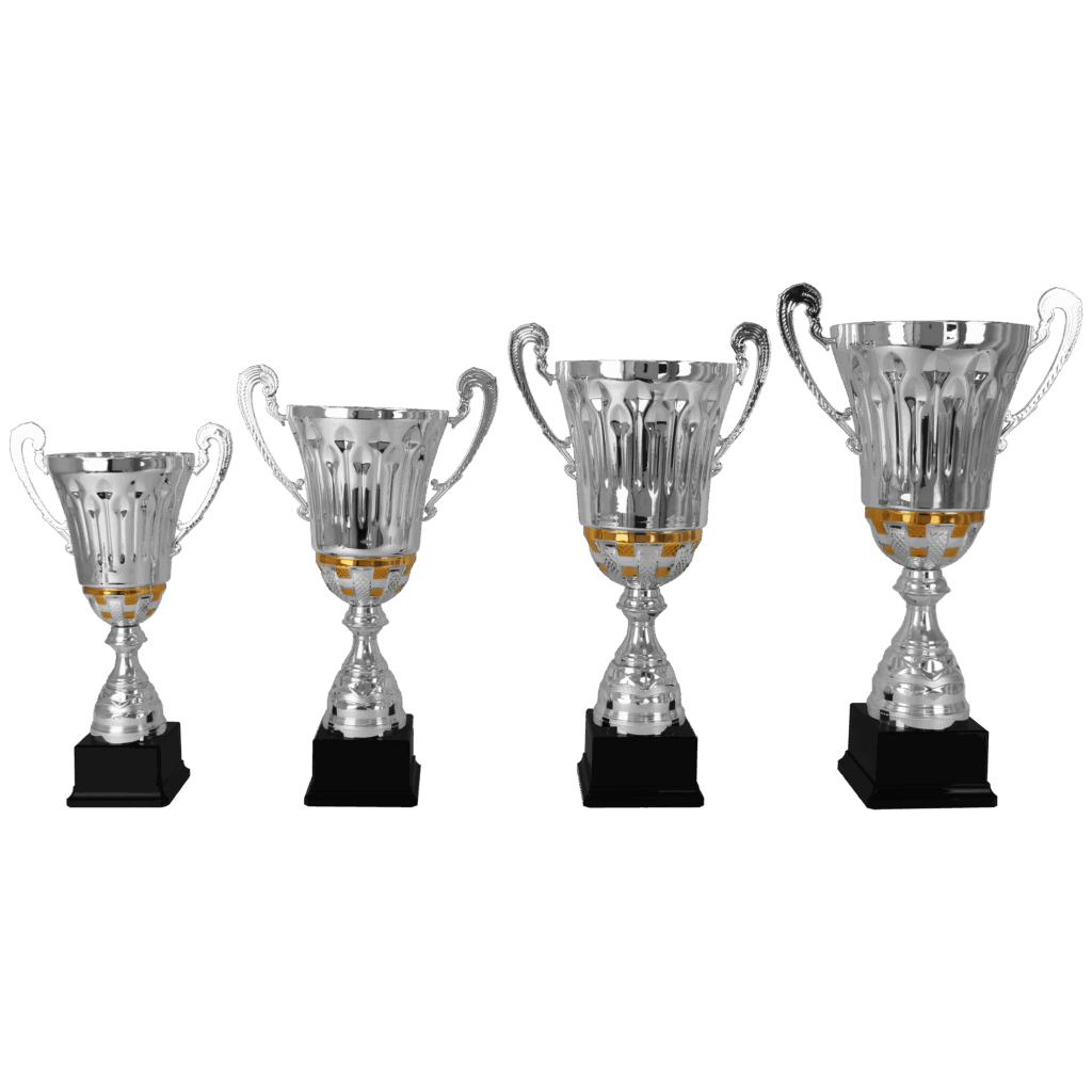 AK5093 - Afbeelding 2