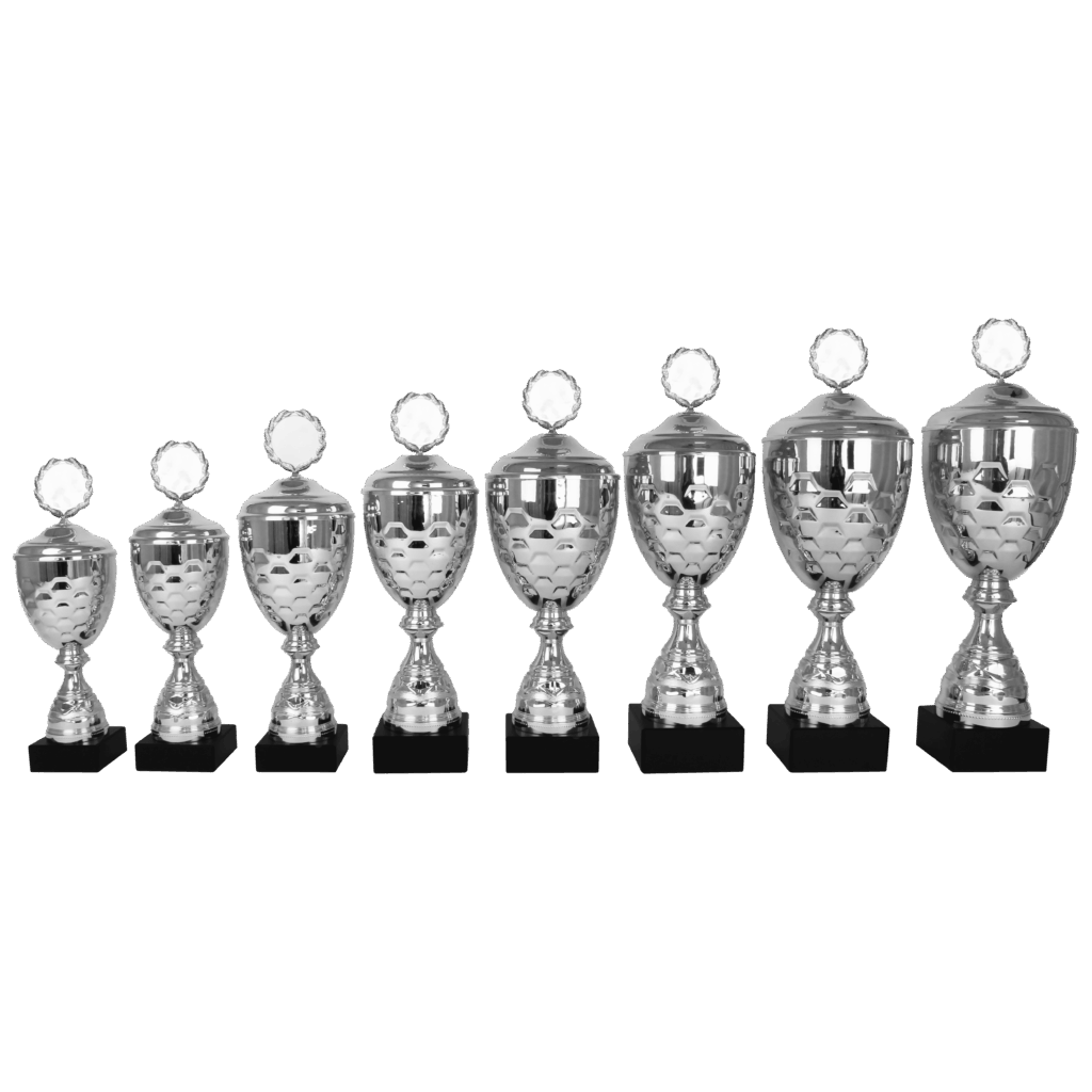 AK5161 - Afbeelding 2