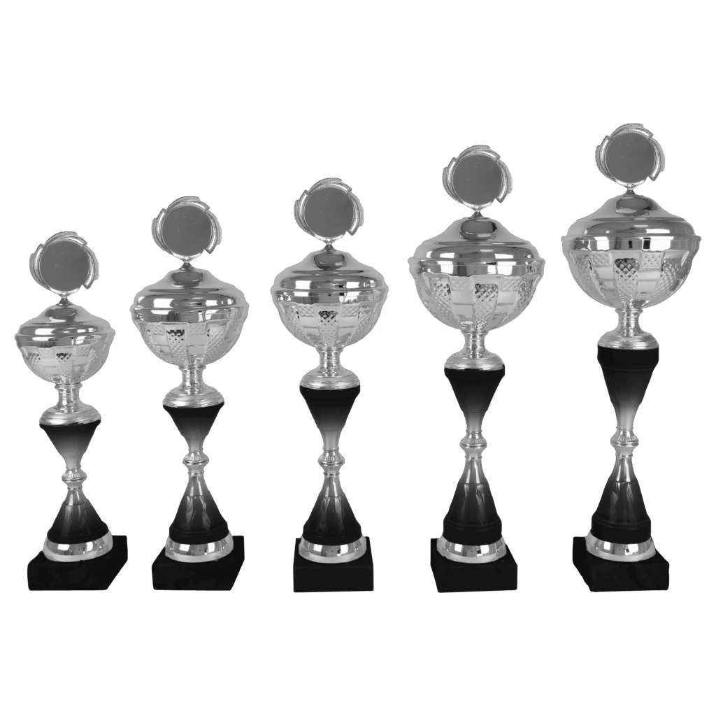 AK5462 - Afbeelding 2