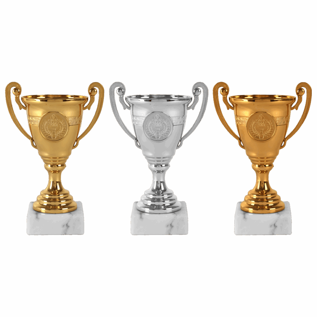 AR1001 - Afbeelding 2