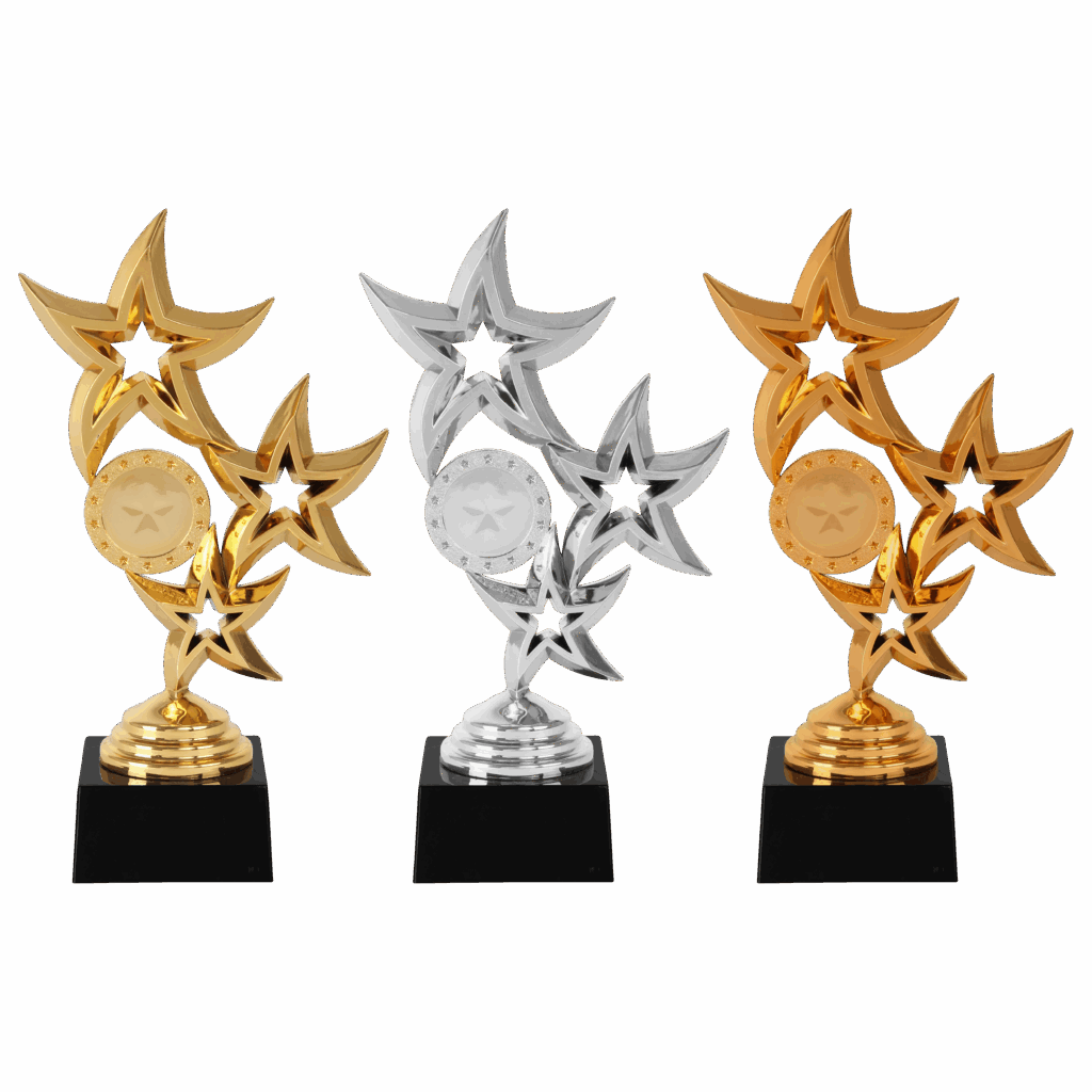 AR1101 - Afbeelding 2