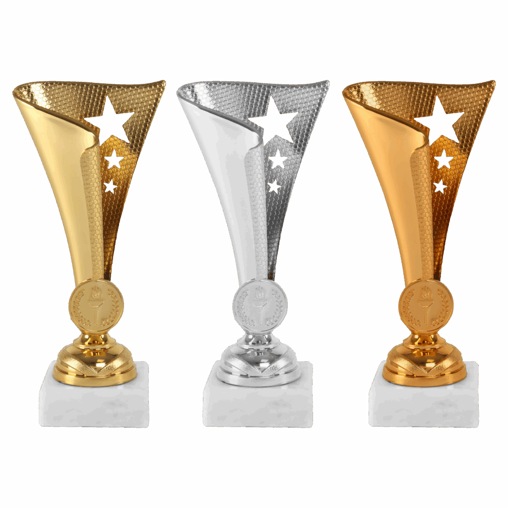 AR1131 - Afbeelding 2