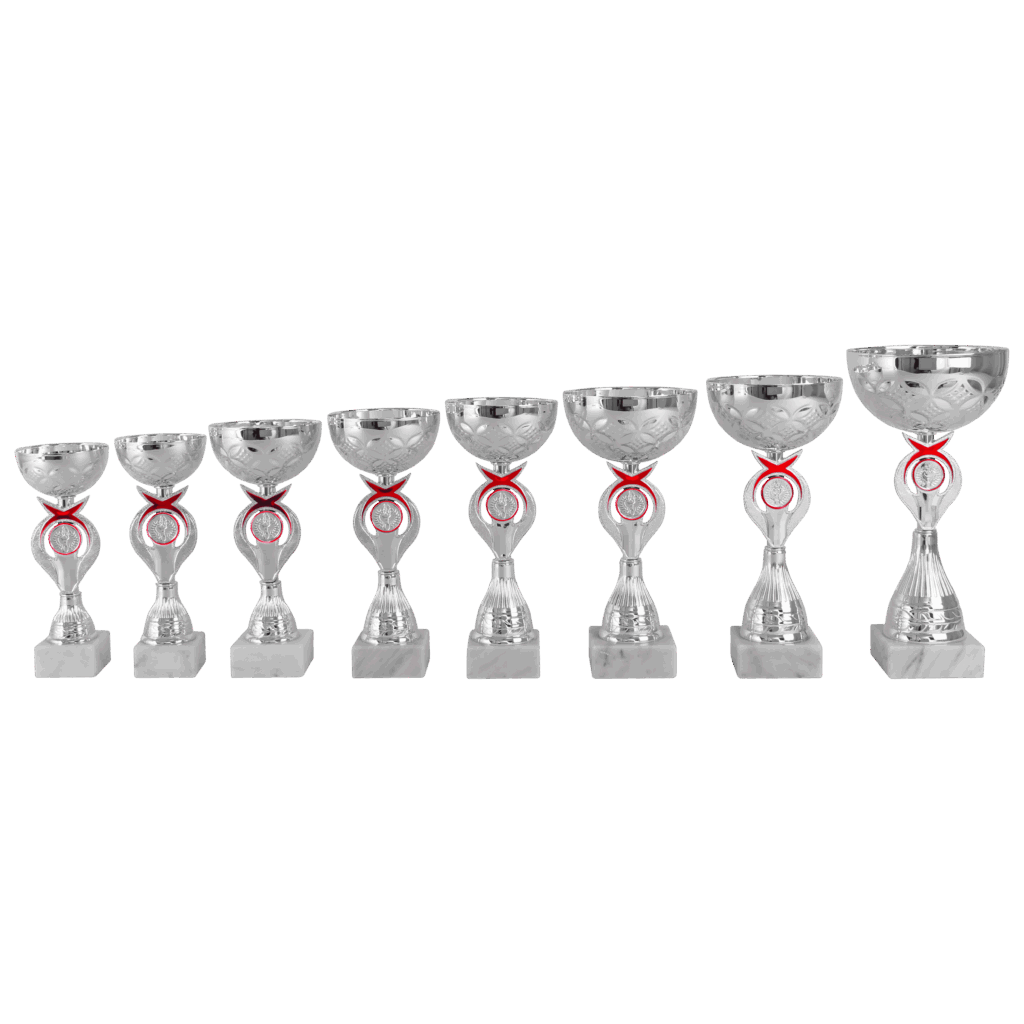 AR1421 - Afbeelding 2